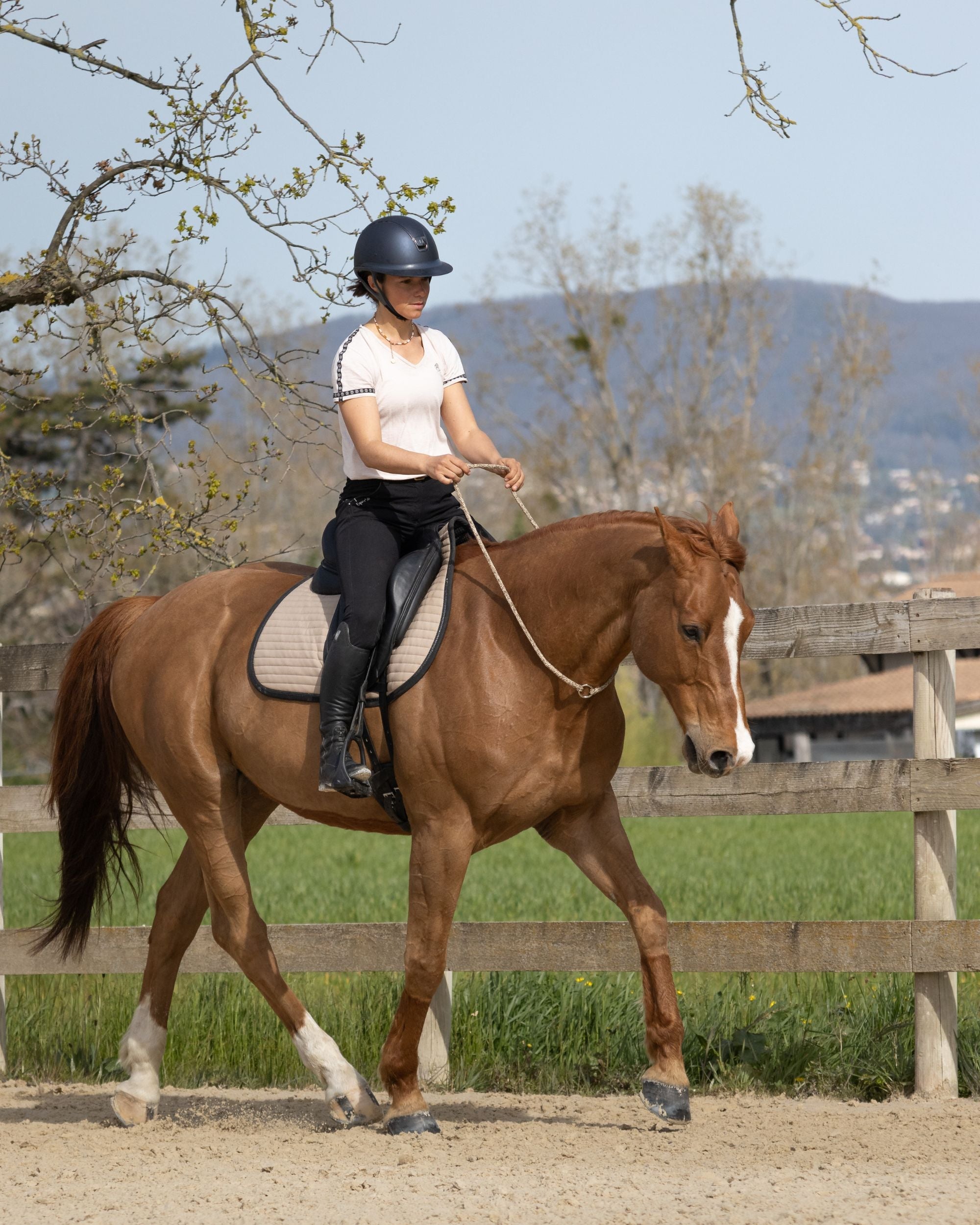 Colliers d'encolure