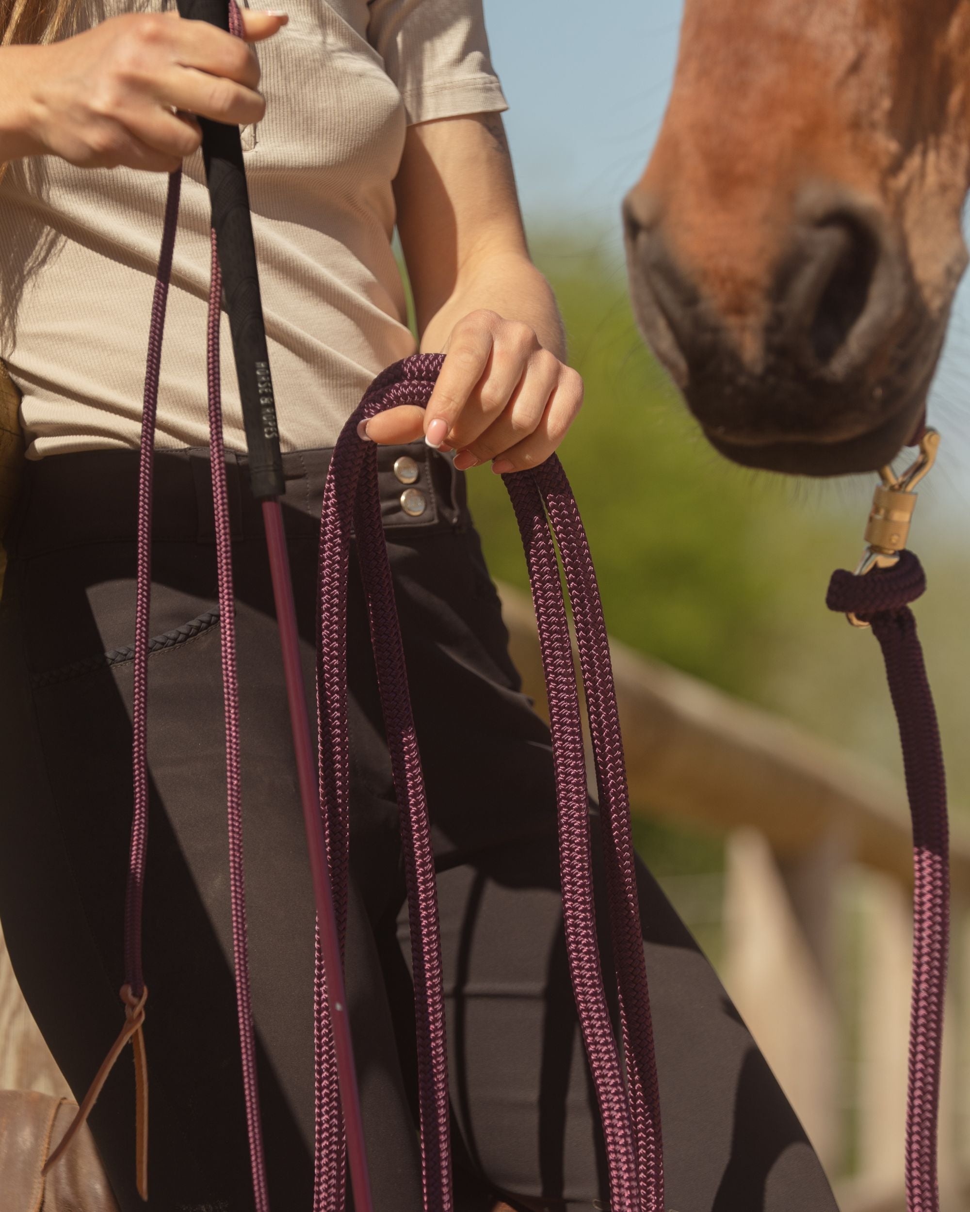 Débuter en équitation éthologique