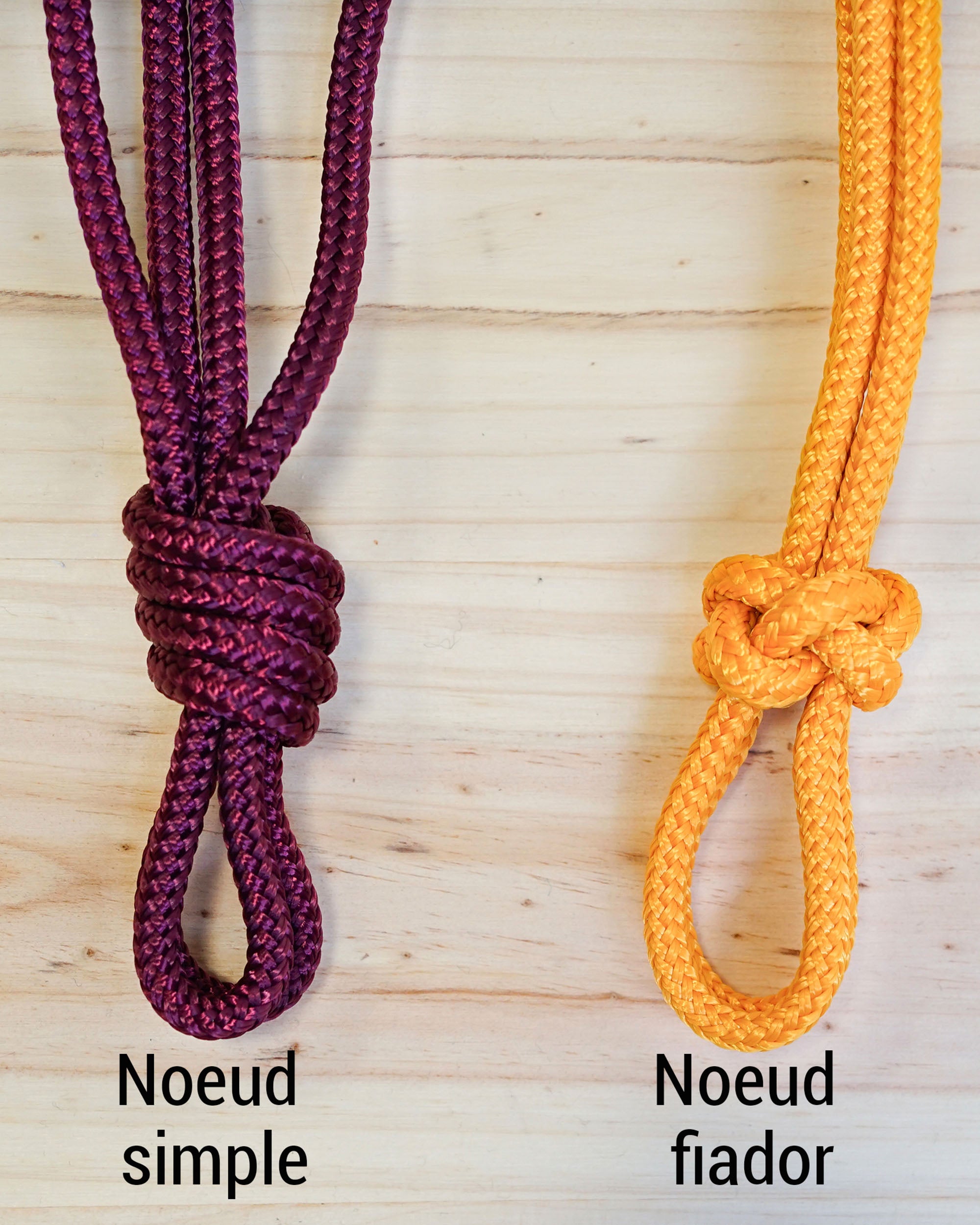 Licol corde sur mesure