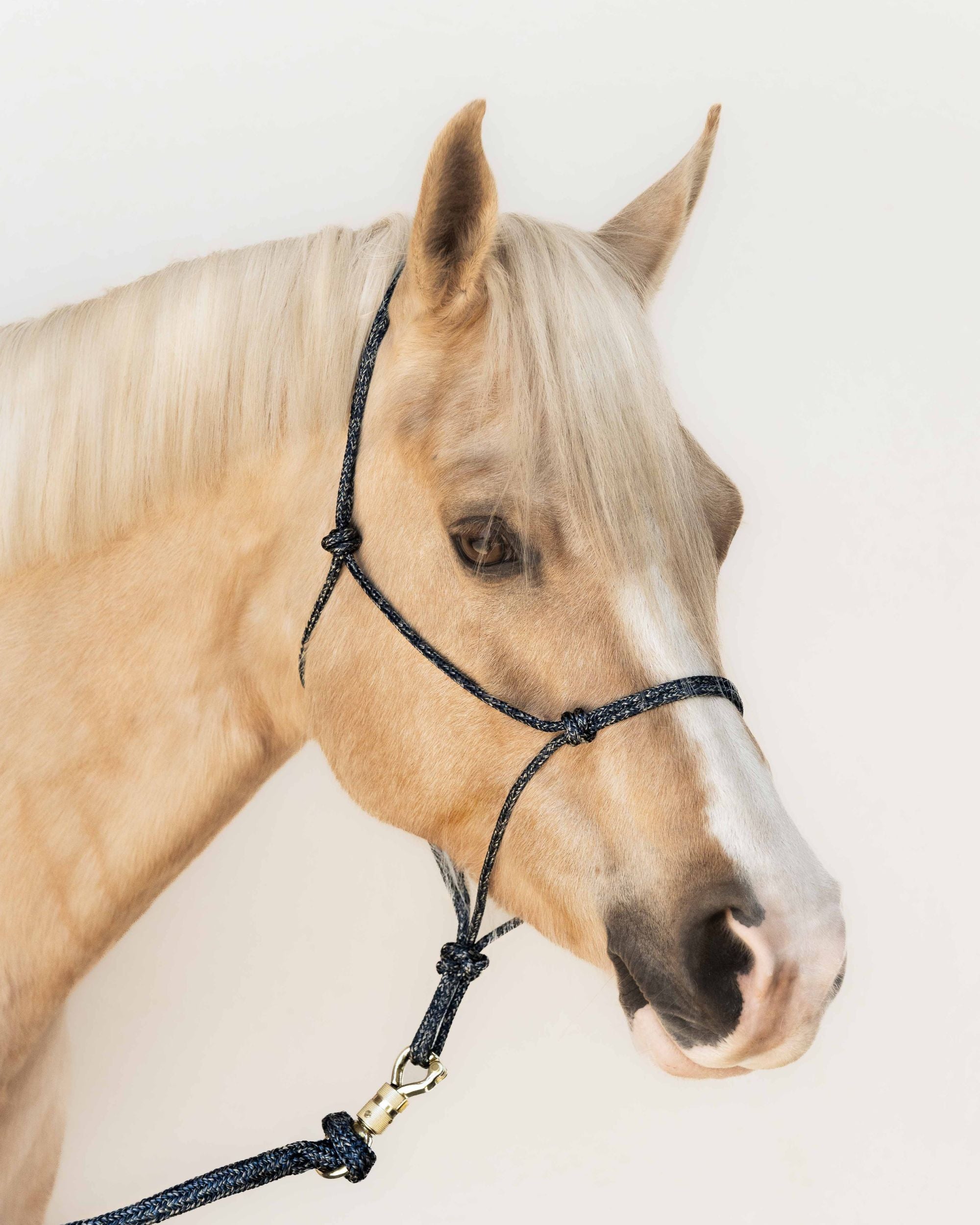 Rope halter