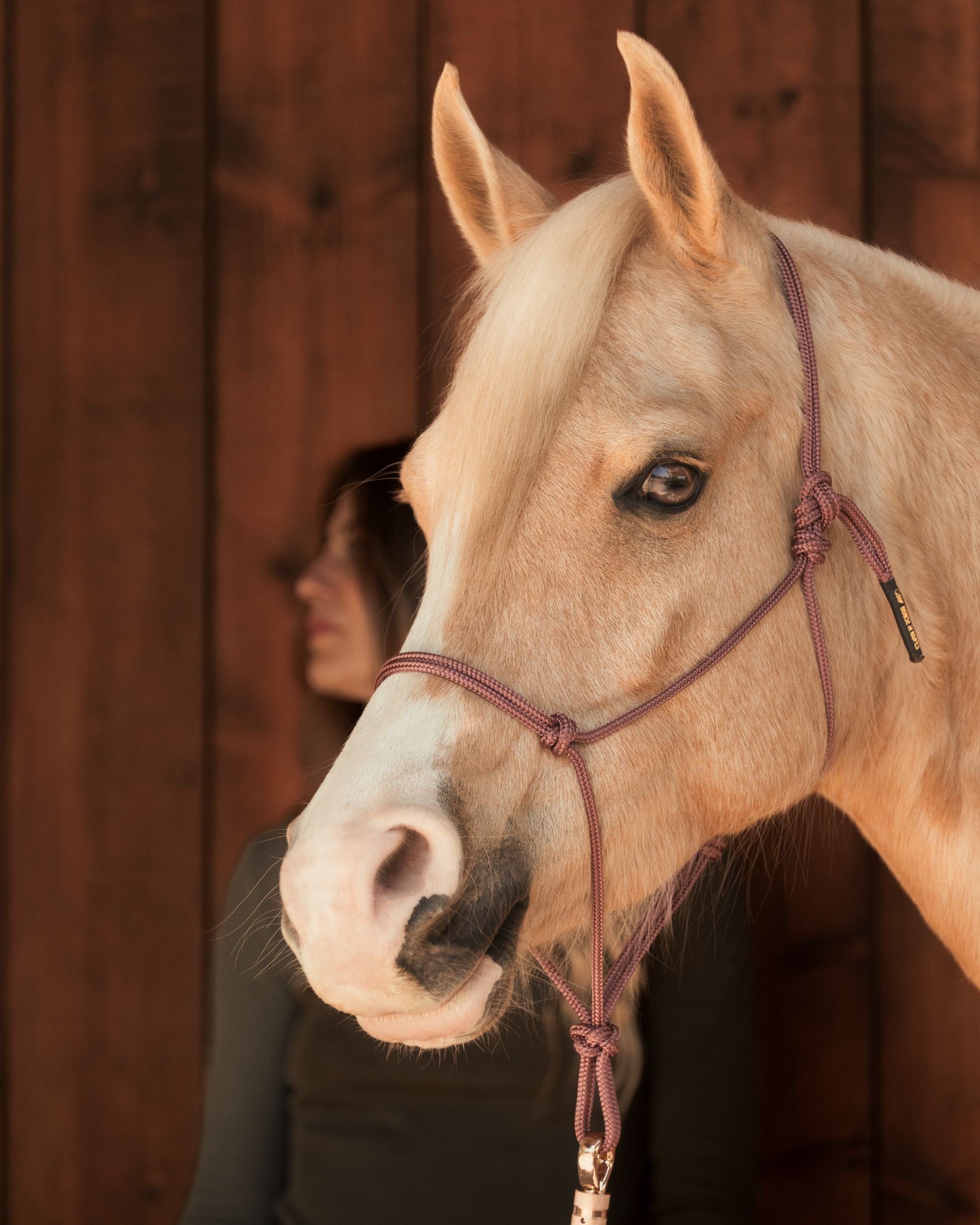 Rope halter