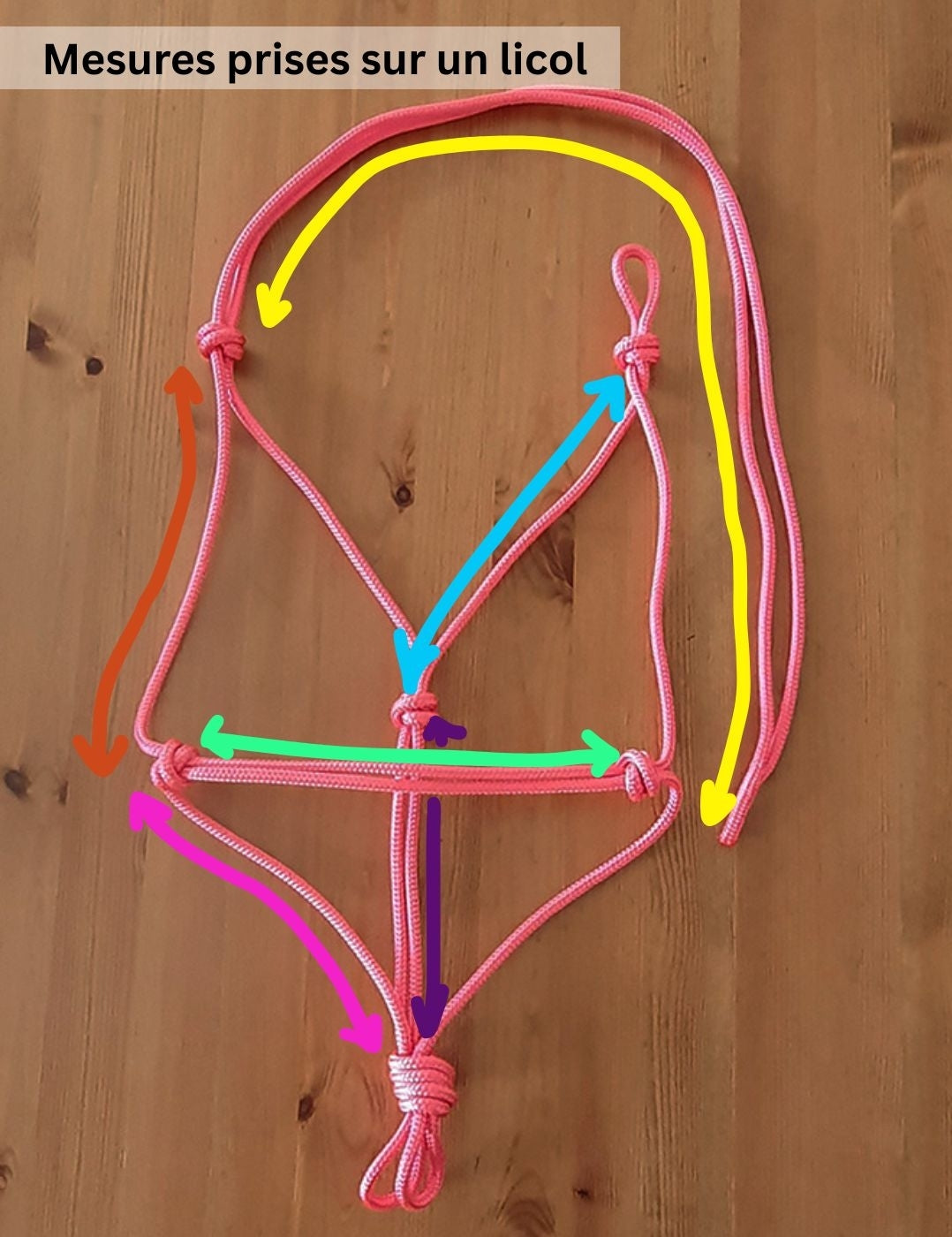 Custom rope halter