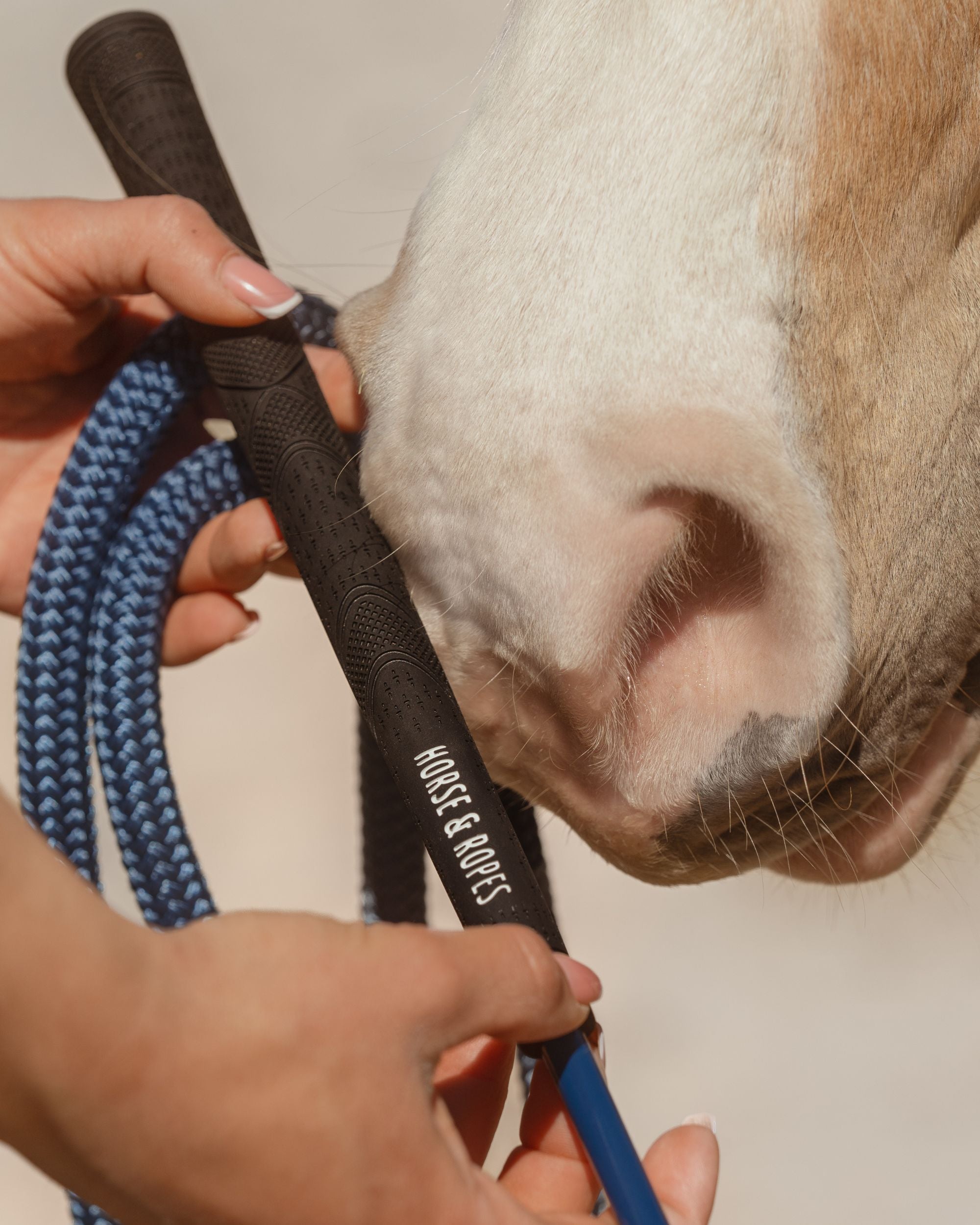 Sticks & accessoires