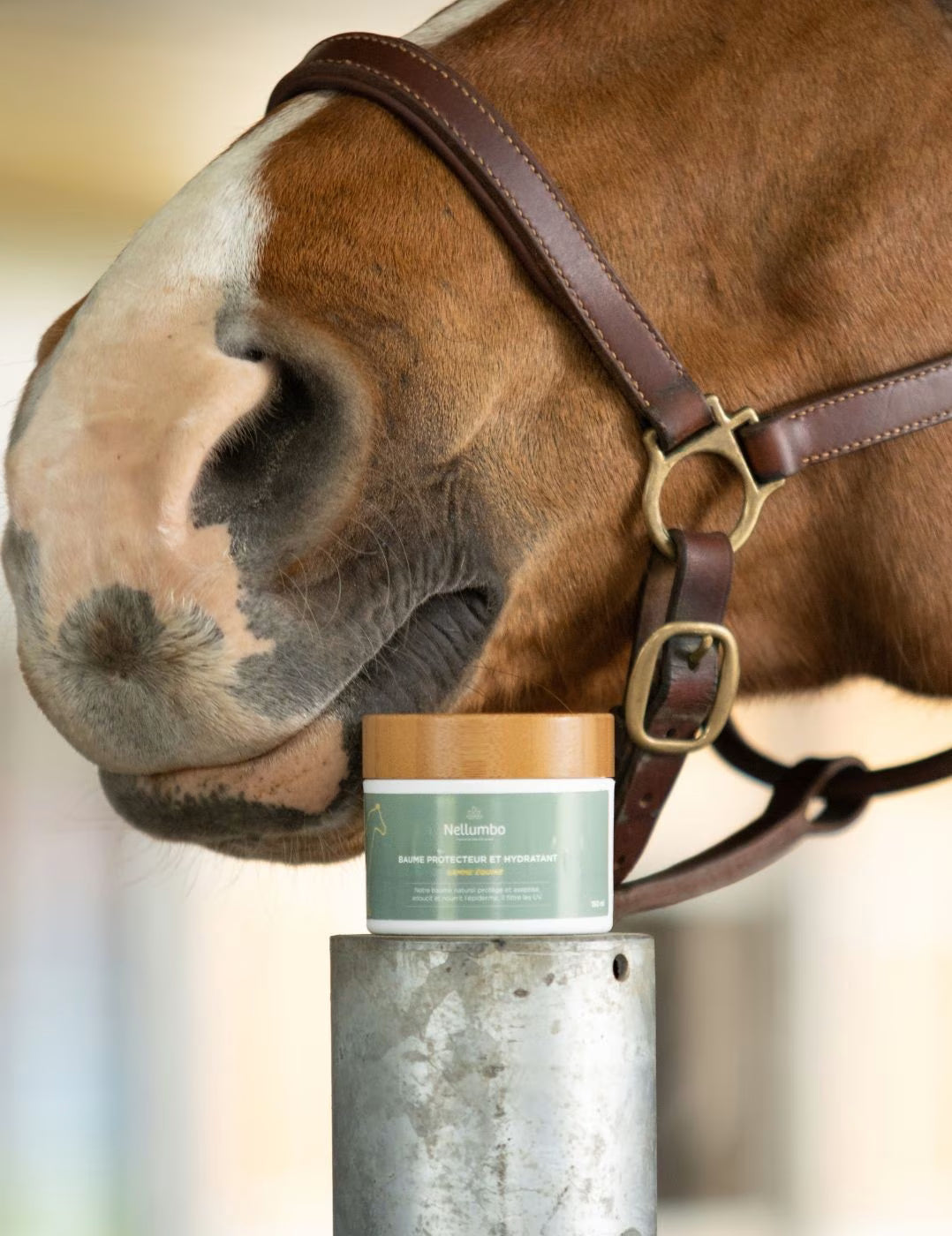 Nellumbo Protective and Moisturizing Balm