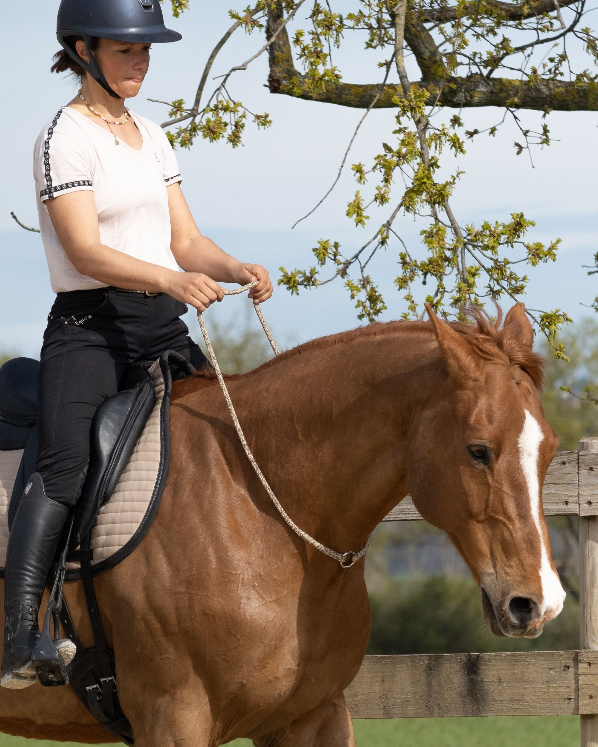 Neck collar