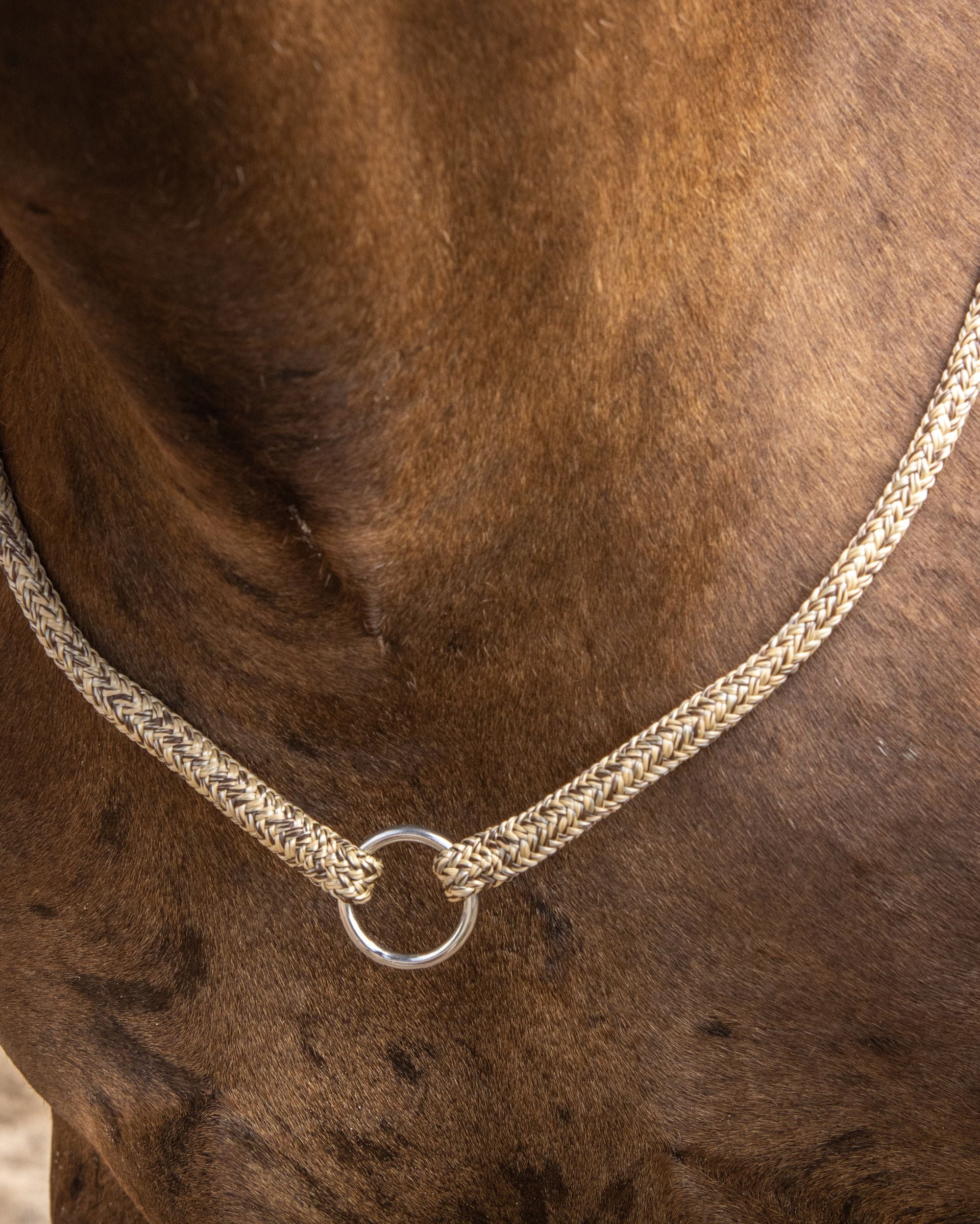 Neck collar