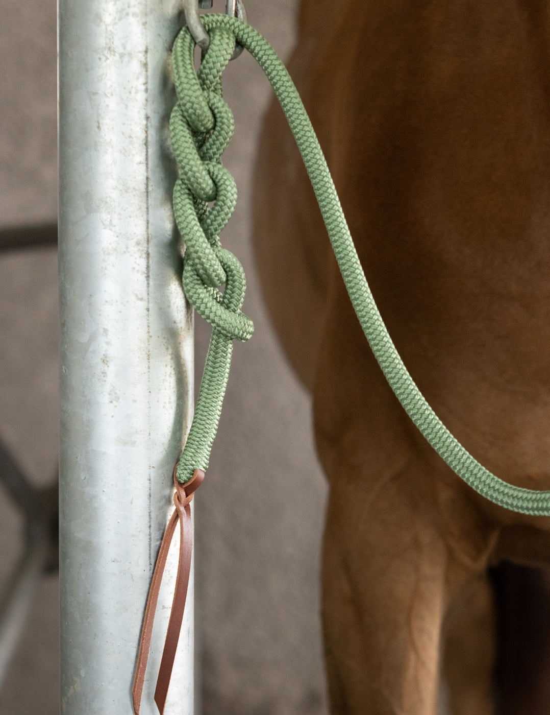 Tethering line