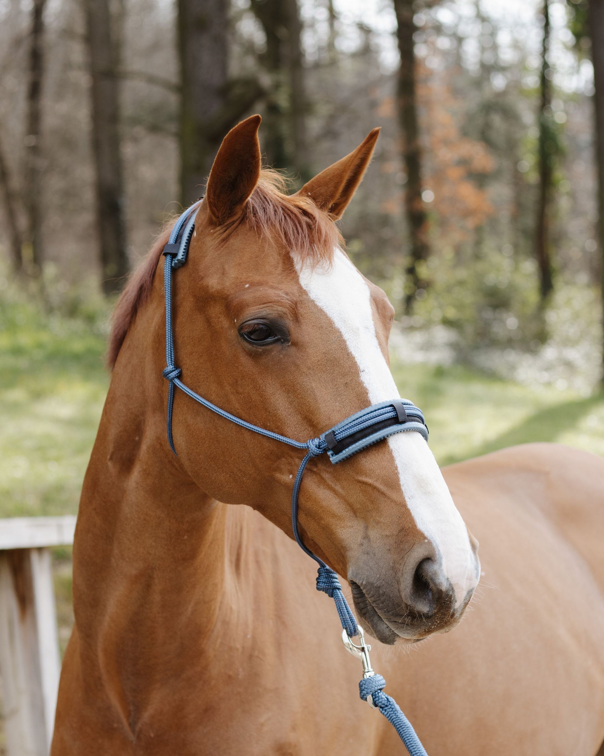 Noseband/headpiece pad