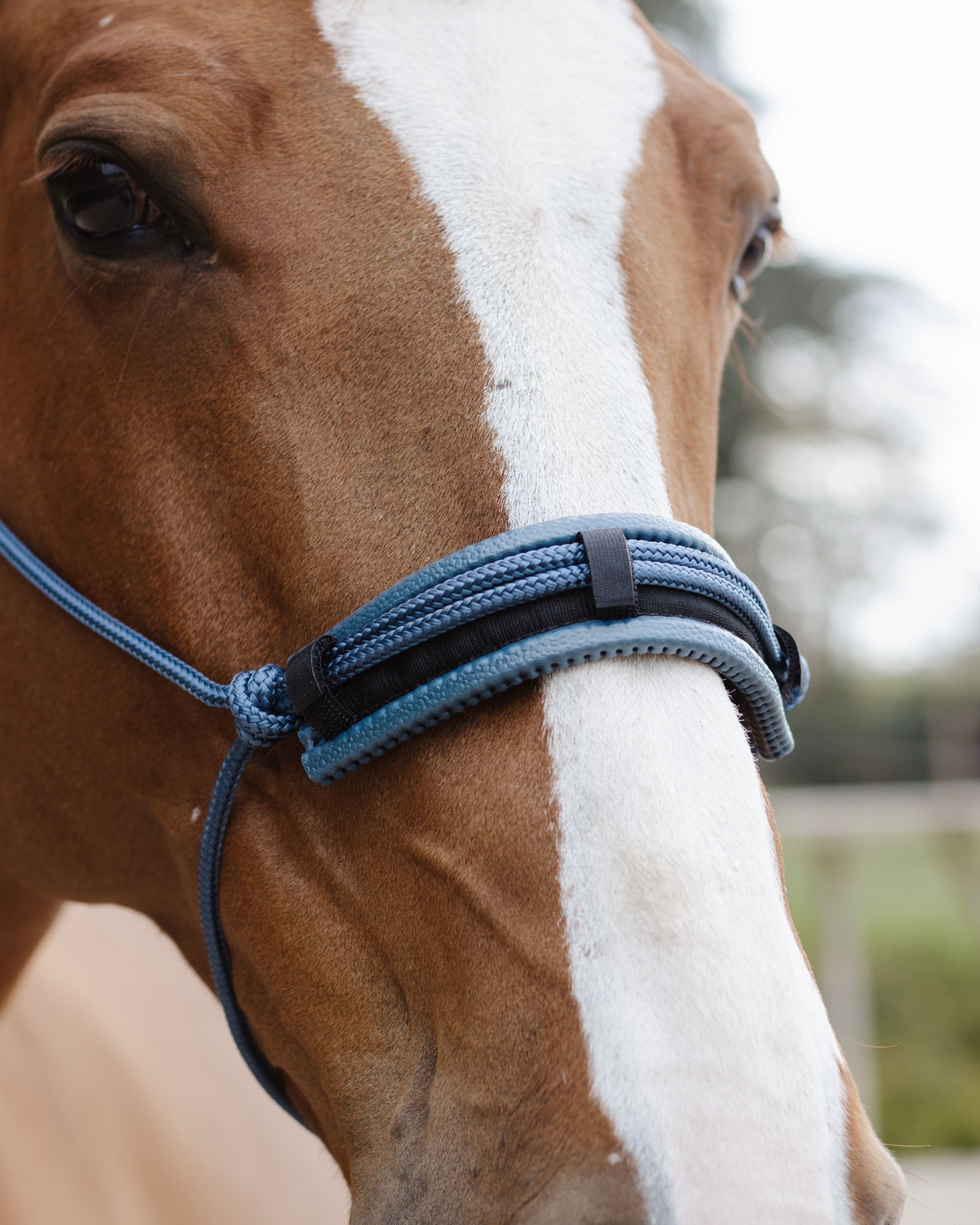 Noseband/headpiece pad