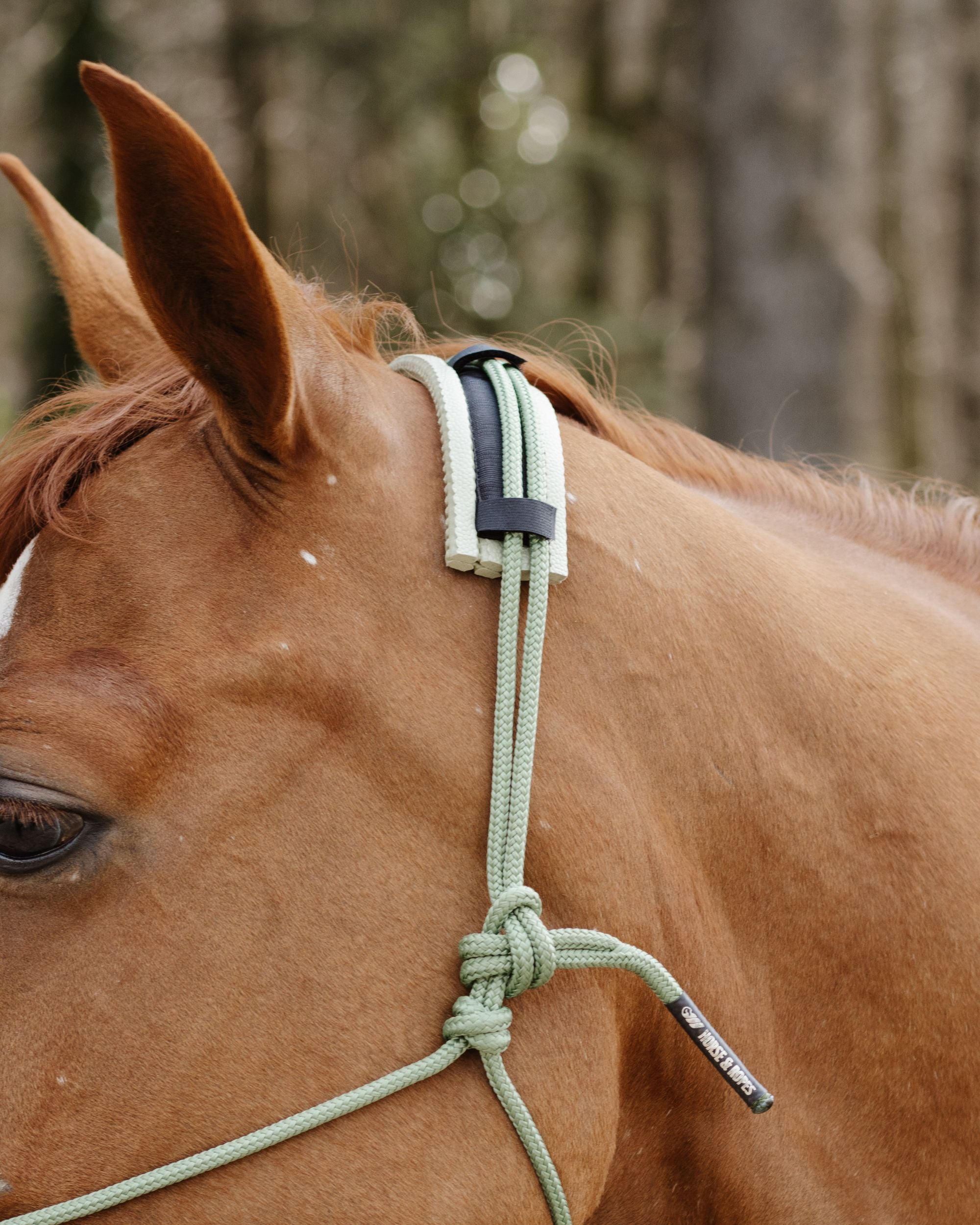 Noseband/headpiece pad