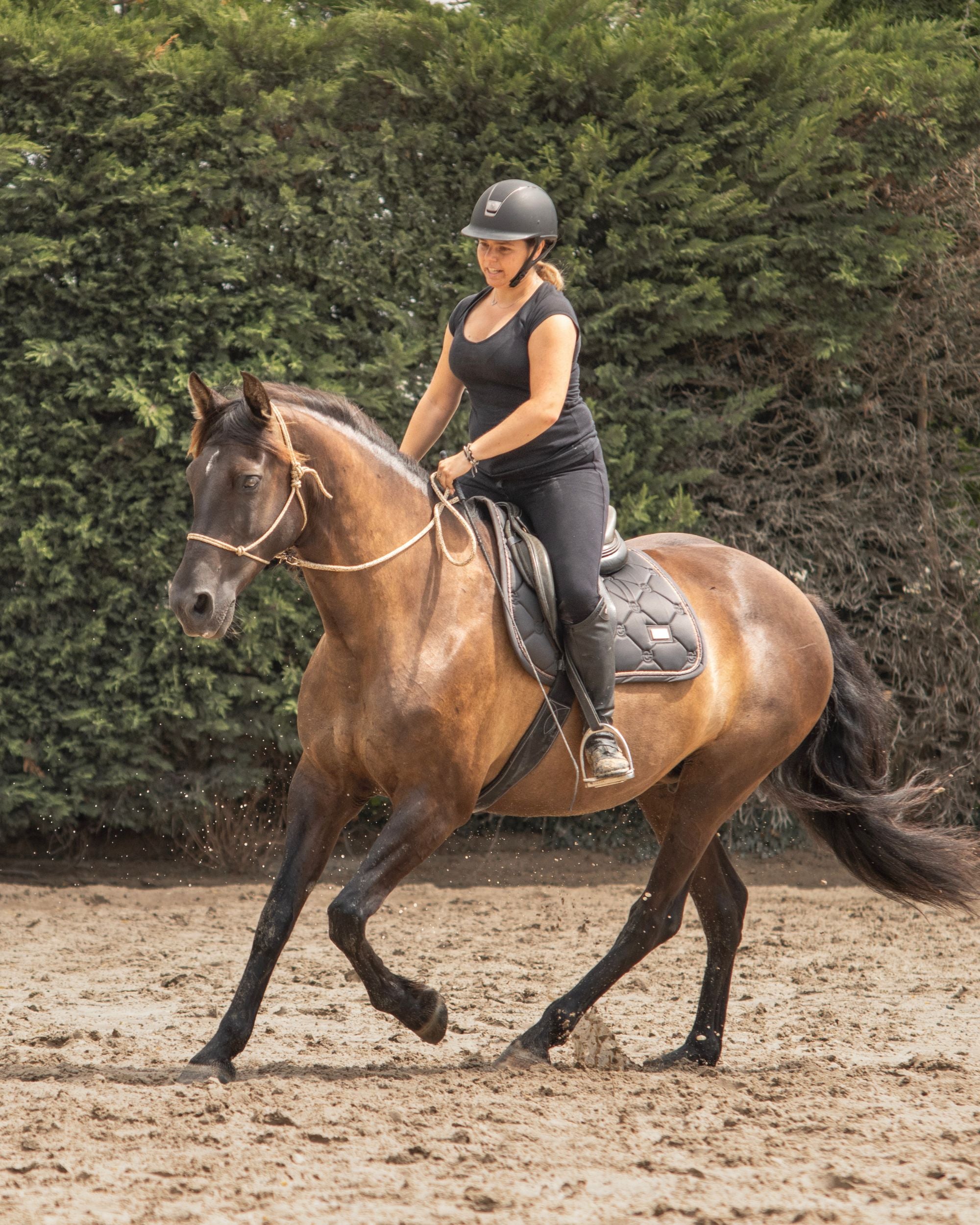 Light reins
