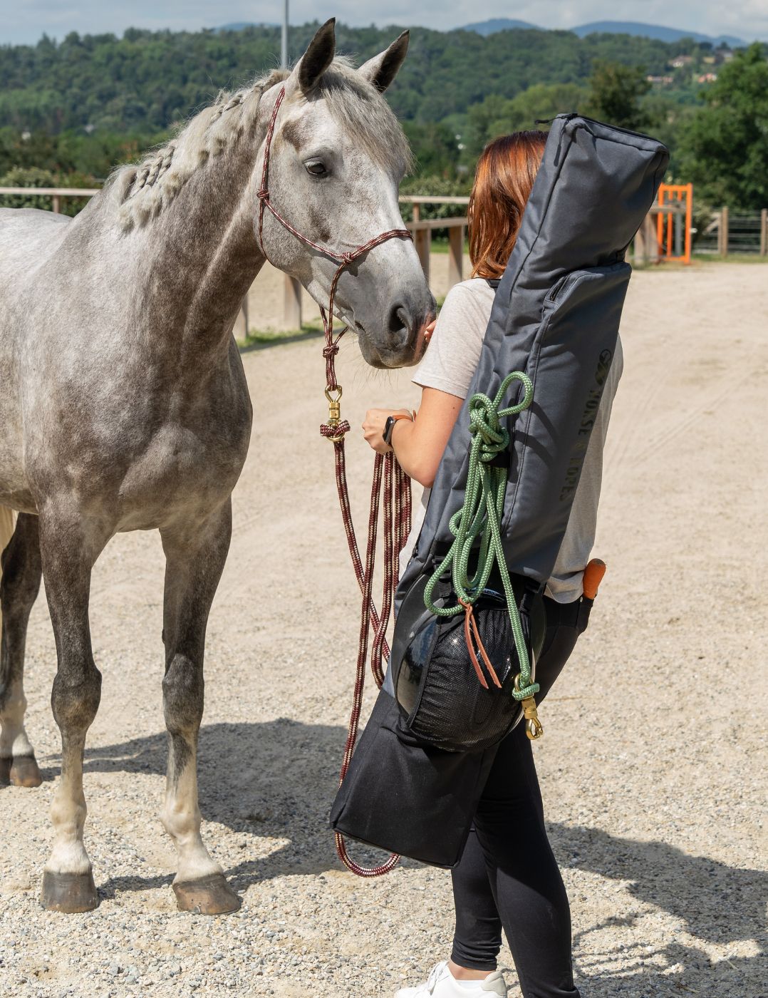 Horse & Bag
